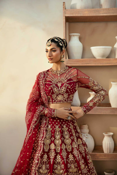 Akbar Aslam Embyrlen net formal maxi, photo 2