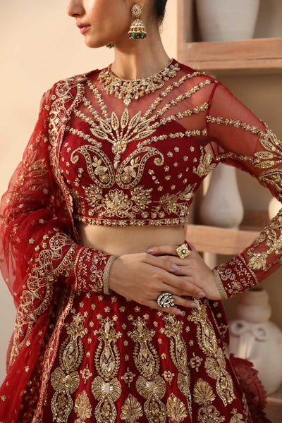 Akbar Aslam Embyrlen net formal maxi, photo 4