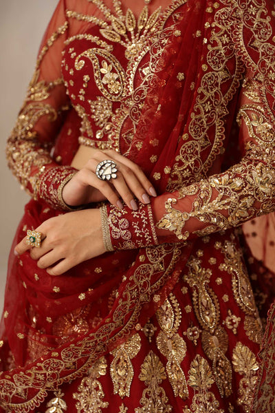 Akbar Aslam Embyrlen net formal maxi, photo 9