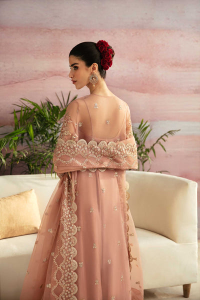 Akbar Aslam | Formals | Sakura