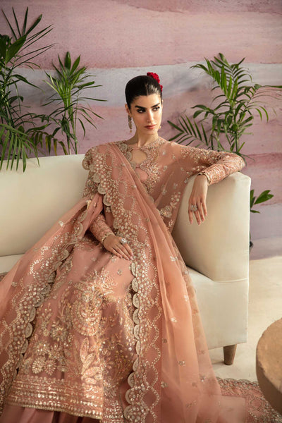 Akbar Aslam | Formals | Sakura