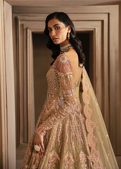 Akbar Aslam Vespera net lehenga set, photo 5