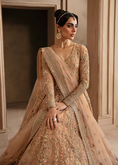 Akbar Aslam Aveline net formal maxi and lehenga, photo 3