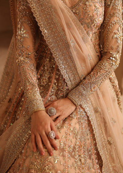 Akbar Aslam Aveline net formal maxi and lehenga, photo 4