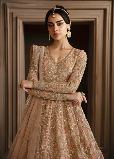 Akbar Aslam Aveline net formal maxi and lehenga, photo 5