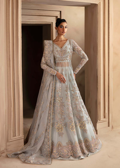Akbar Aslam Ophelia organza lehenga choli