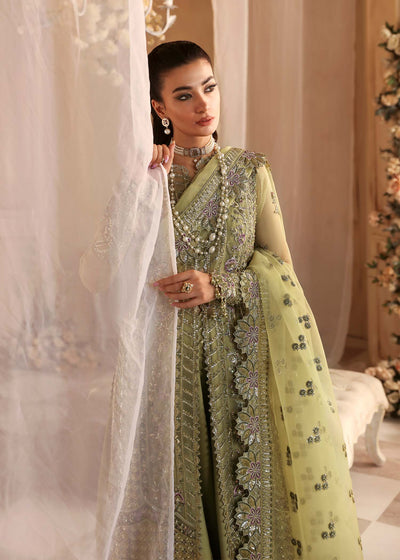Akbar Aslam | Formals | Seren