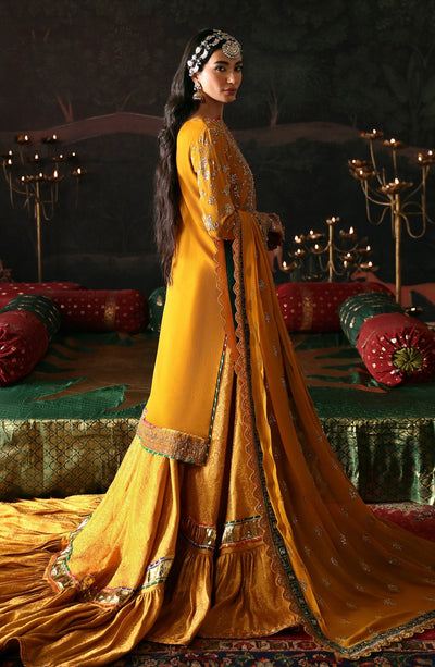 Emaan Adeel | Devdas Formals | ROSHAN JAHAN -  Emaan Adeel Formal - Original Designer Dress - House of Maryam