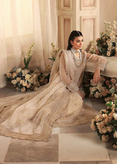 Akbar Aslam Azucena organza formal shirt and sharara, photo 5