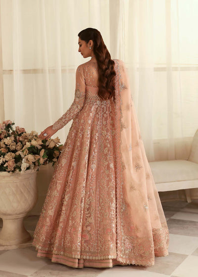 Akbar Aslam Sueno organza formal maxi, photo 3