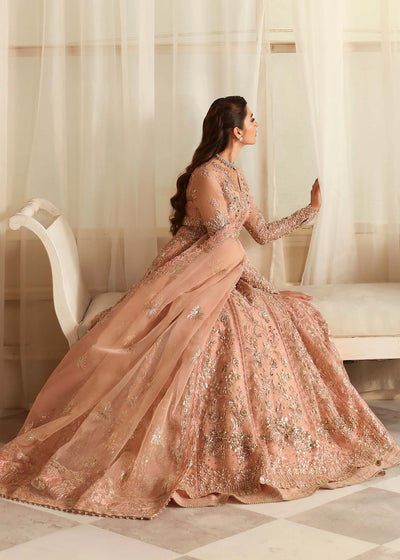 Akbar Aslam Sueno organza formal maxi, photo 6
