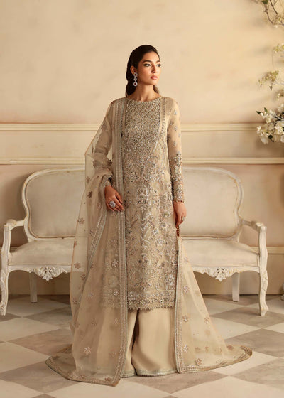 Akbar Aslam Nacar organza formal suit