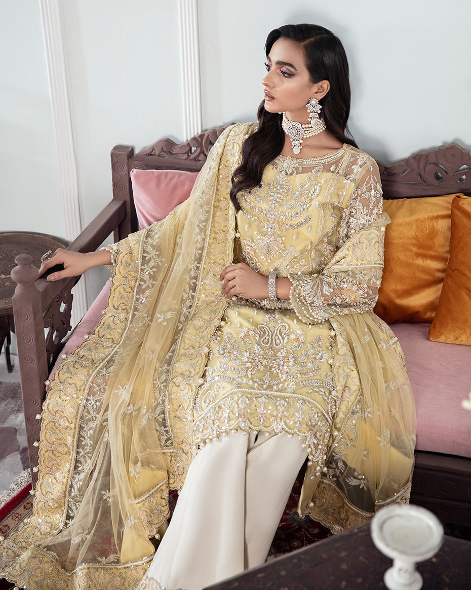 Gulaal | Wedding Formals | MAHJABEEN EMBROIDERED NET 3-PIECE SUIT WS-17