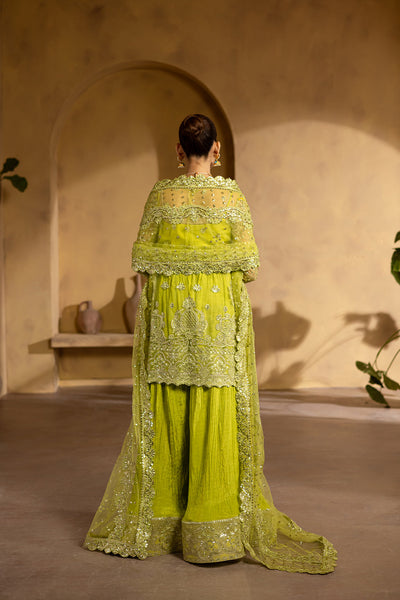 Emaan Adeel I Regalia Luxury Formals I BERYL -  Emaan Adeel Ladies Clothes - Original Designer Dress - House of Maryam