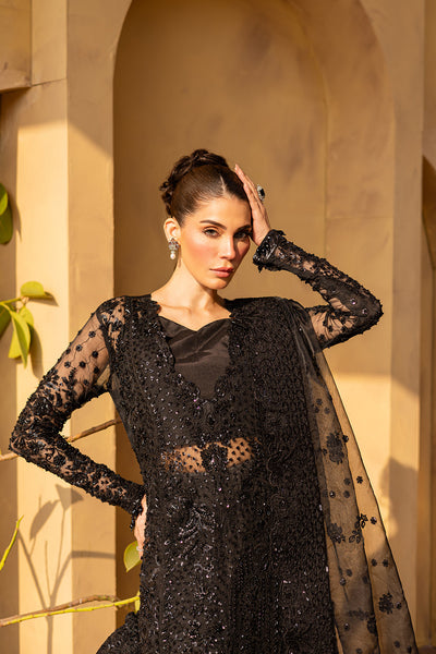Emaan Adeel I Regalia Luxury Formals I VELVRA -  Emaan Adeel Ladies Clothes - Original Designer Dress - House of Maryam
