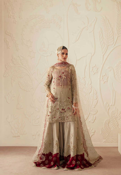 Ayesha and Usman | Haq e Meher | ZEENAT