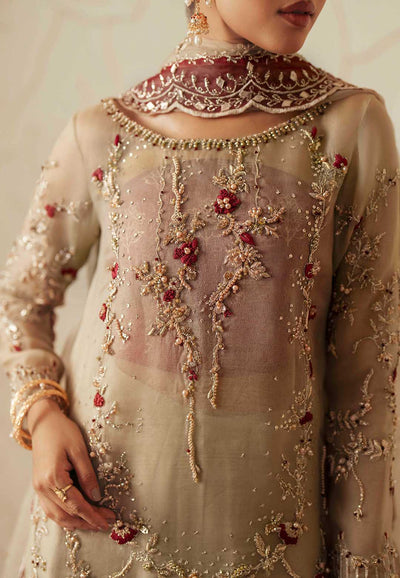 Ayesha and Usman | Haq e Meher | ZEENAT