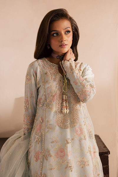 Emaan Adeel |Celine Pret |Arghawani -  Emaan Adeel Ladies Clothes - Original Designer Dress - House of Maryam
