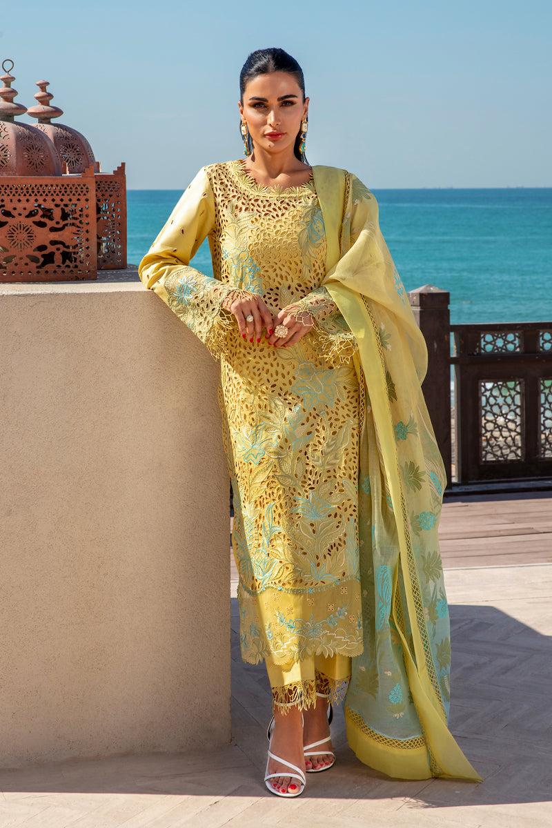 Rangrasiya | Premium Summer Lawn 25 | Minal -  Rangrasiya Ladies Clothes - Original Designer Dress - House of Maryam