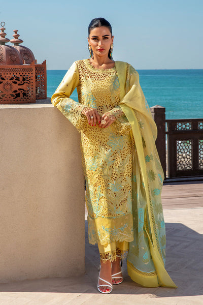 Rangrasiya | Premium Summer Lawn 25 | Minal -  Rangrasiya Ladies Clothes - Original Designer Dress - House of Maryam