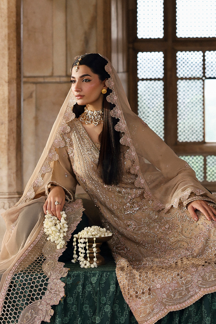 Emaan Adeel | Romansiyyah Luxury Formals | SHAHNOOR-6