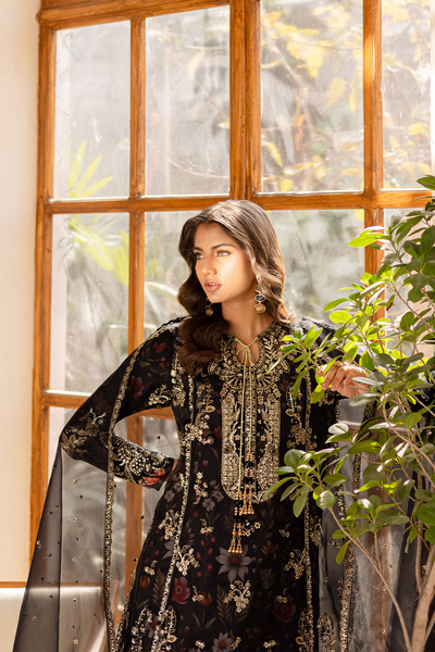 Emaan Adeel | Noore Festive Formals | ZAREYA -  Emaan Adeel Ladies Clothes - Original Designer Dress - House of Maryam