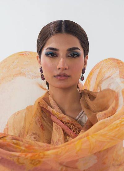 Image | Spring Basics 25 | IMPRSS-213971-12540 -  Image Ladies Clothes - Original Designer Dress - House of Maryam