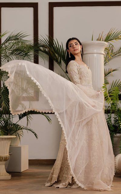 Threads and Motifs | Formal Dresses 25 | Net Embroidered Maxi -  Threads and Motifs Ladies Clothes - Original Designer Dress - House of Maryam