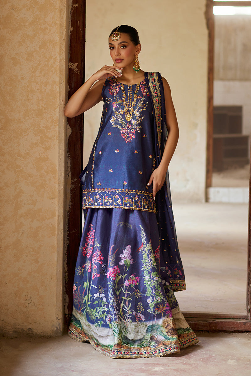 Mina Hassan | Formal Dholki Collection | Hannah -  Mina Hassan Ladies Clothes - Original Designer Dress - House of Maryam