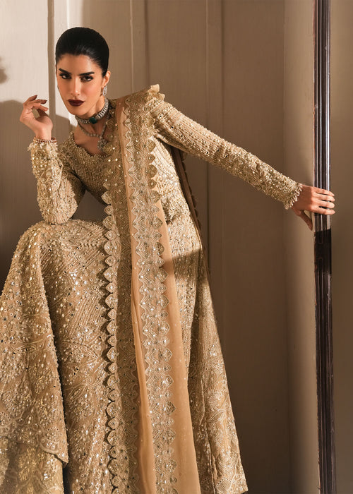 Saira Shakira | Reve Wedding Festive 26 | Moonveil-6