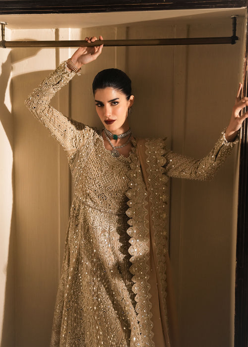 Saira Shakira | Reve Wedding Festive 26 | Moonveil-5