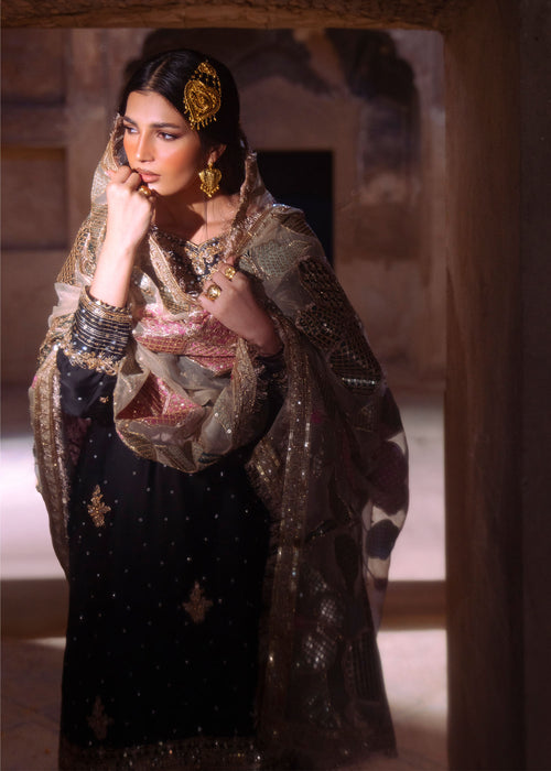 Haseens | Darbar Formals | Shabrang-5
