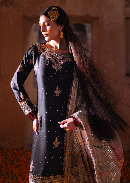 Haseens | Darbar Formals | Shabrang, image 4