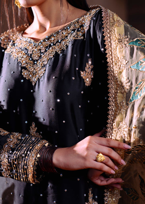 Haseens | Darbar Formals | Shabrang, image 3
