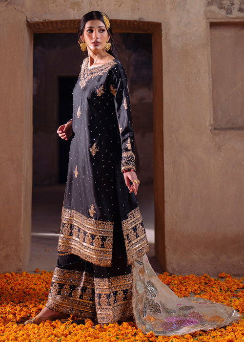 Haseens | Darbar Formals | Shabrang-6