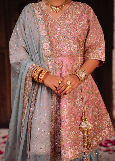 Haseens | Darbar Formals | Gulbarg