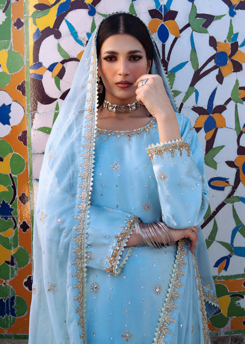 Haseens | Darbar Formals | Ābīna-4