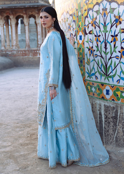 Haseens | Darbar Formals | Ābīna-2