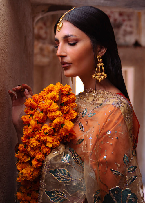 Haseens | Darbar Formals | Aftāb, image 3
