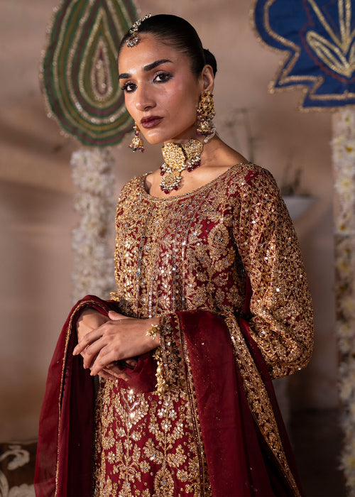 Haseens | Al Noor Formals | Roshanara, image 4