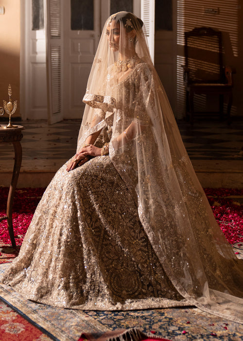 Haseens | Al Noor Formals | Afrooz-6