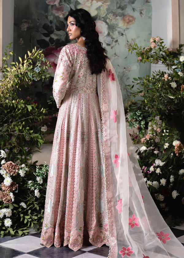 Haseens | Naira Formals | Ayna-2