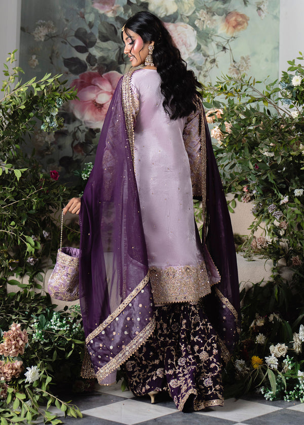 Haseens | Naira Formals | Taj-2