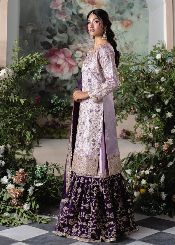 Haseens | Naira Formals | Taj, image 4