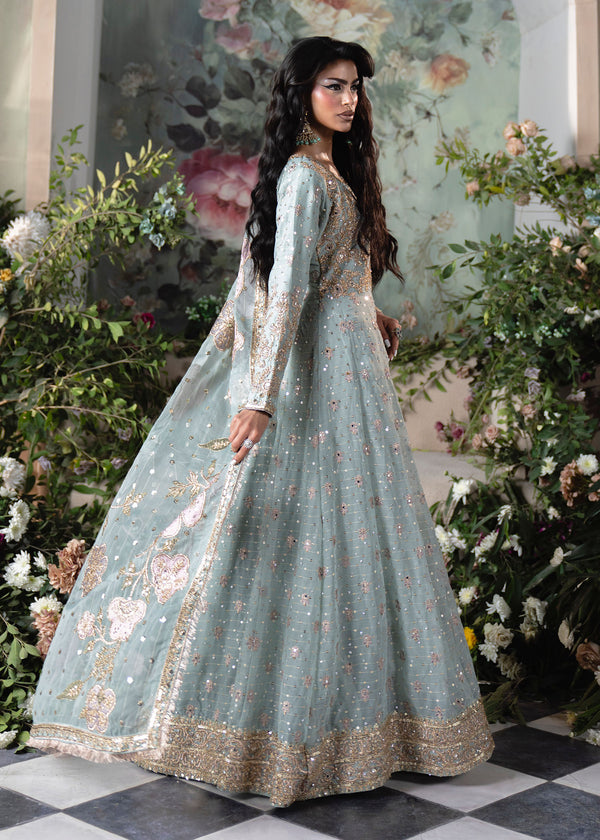 Haseens | Naira Formals | Falak-4
