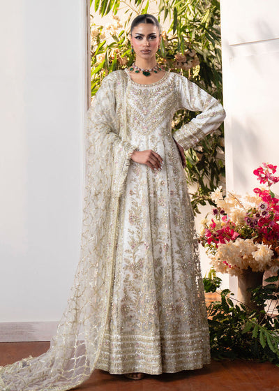 Haseens | Naira Formals | Roshni