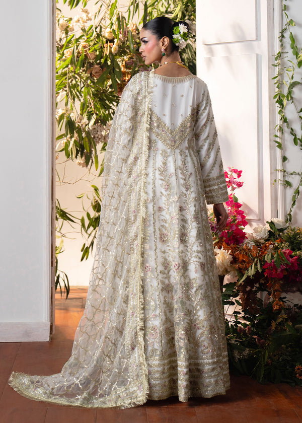 Haseens | Naira Formals | Roshni-2
