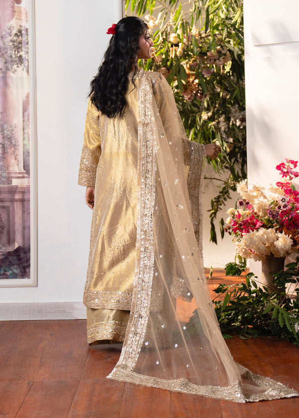 Haseens | Naira Formals | Sakeena, image 2