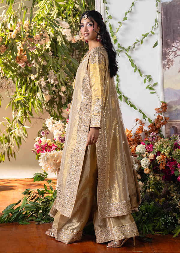 Haseens | Naira Formals | Sakeena-4
