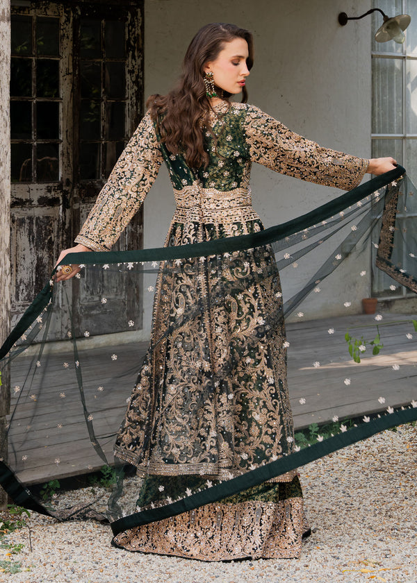 Haseens | Ayra Formals | Malaak, image 2